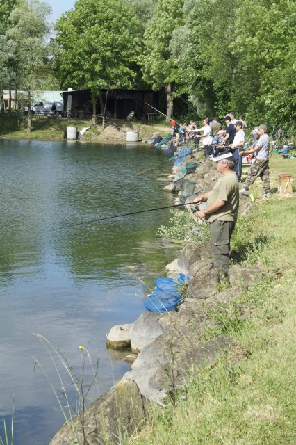 Pche en eau douce - ETANG A TRUITE - MANOM - LORRAINE - France