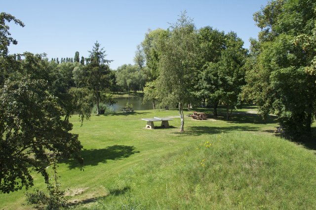 Great Fishing Spots, Locations, Places and Holiday Accommodation in France, LORRAINE, MANOM - Freshwater Fishing